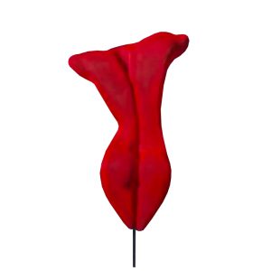 THE SYMBOL ROJO INTENSO