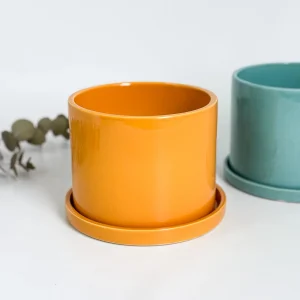 MACETA CILINDRO GRANDE COLOR CON PLATO