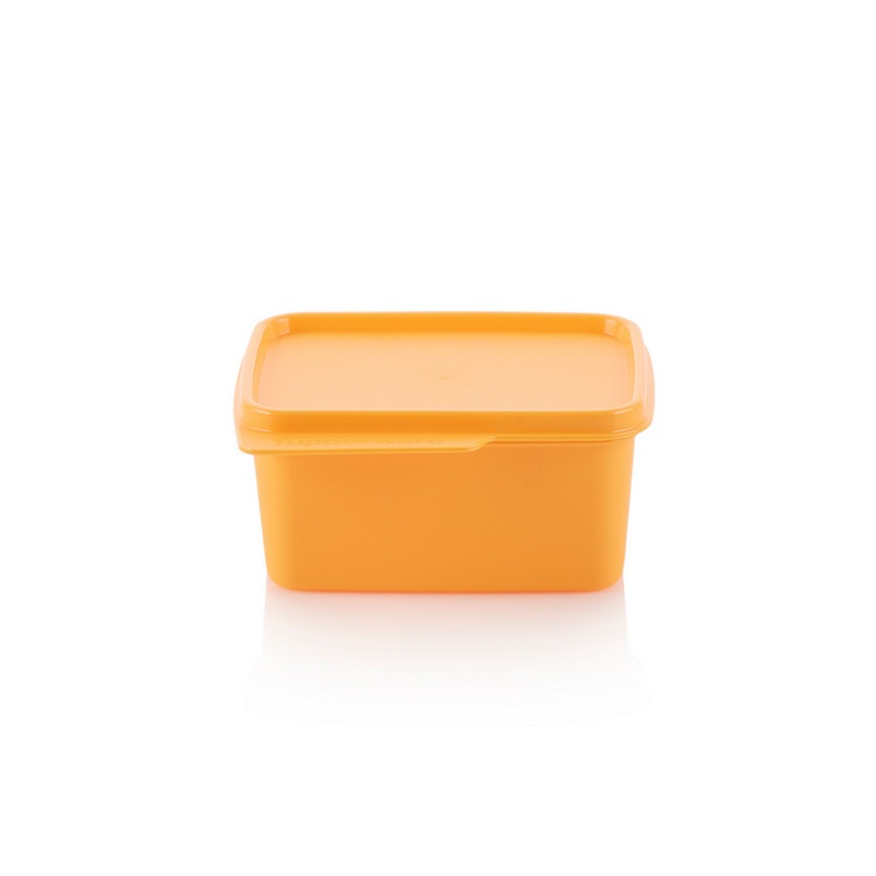 Básica 500 ML - Imagen 2