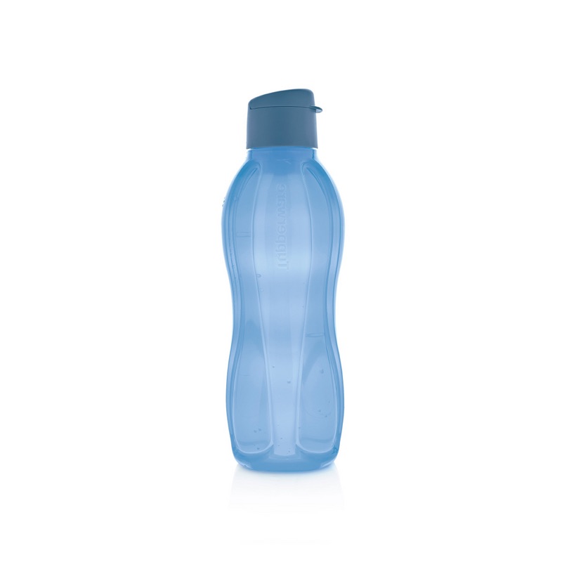 Eco Botella 1 Litro